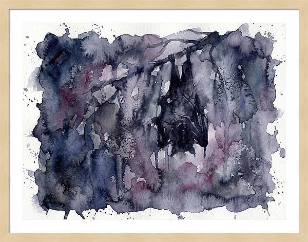 Bat Hanging In Shadows