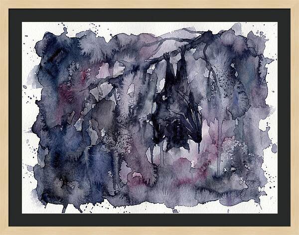Bat Hanging In Shadows