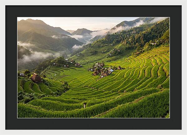 Batad Rice Terraces Serenity