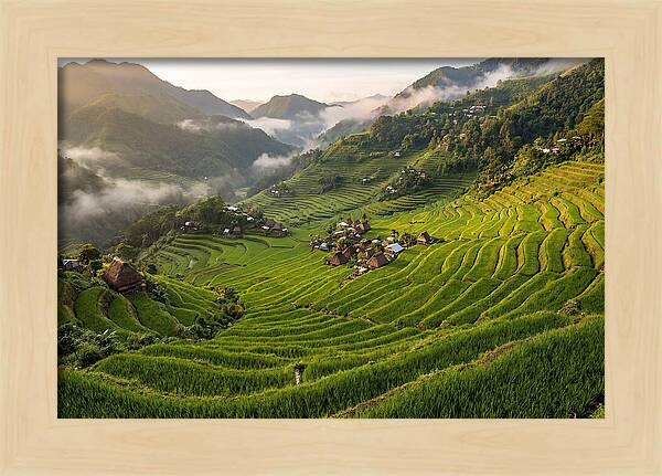 Batad Rice Terraces Serenity