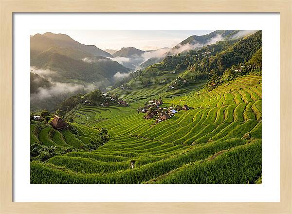 Batad Rice Terraces Serenity