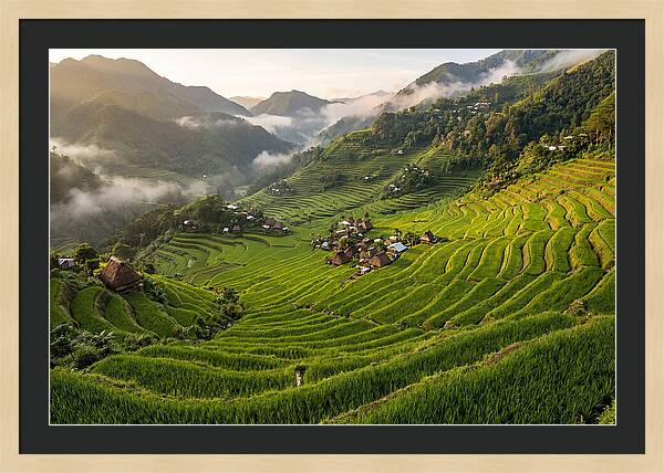 Batad Rice Terraces Serenity