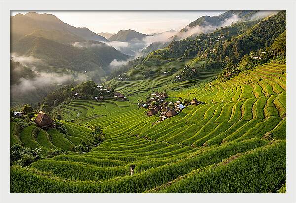 Batad Rice Terraces Serenity