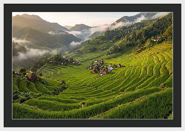 Batad Rice Terraces Serenity