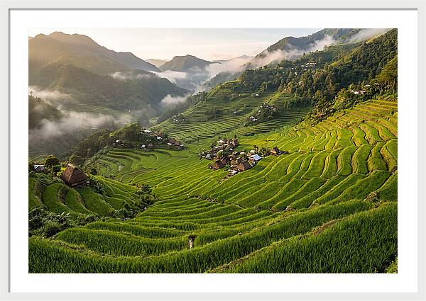 Batad Rice Terraces Serenity