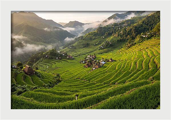 Batad Rice Terraces Serenity