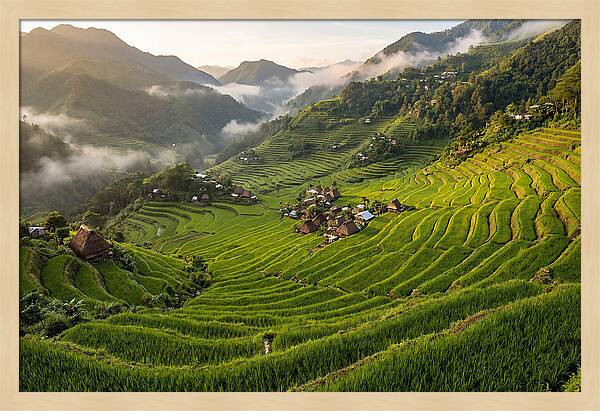 Batad Rice Terraces Serenity