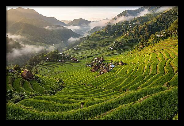 Batad Rice Terraces Serenity