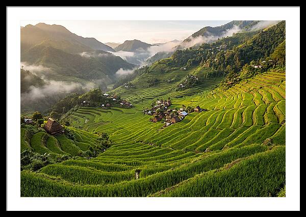 Batad Rice Terraces Serenity