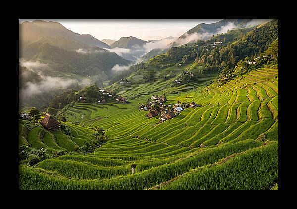 Batad Rice Terraces Serenity