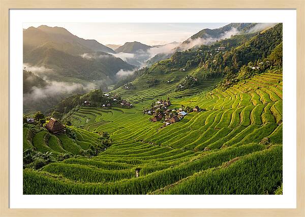 Batad Rice Terraces Serenity