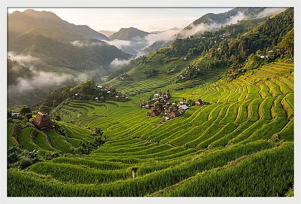 Batad Rice Terraces Serenity