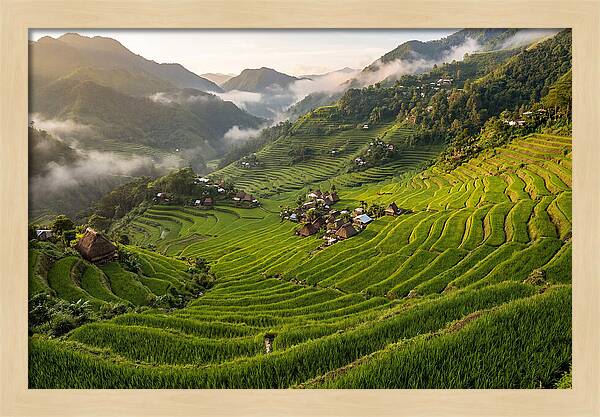 Batad Rice Terraces Serenity