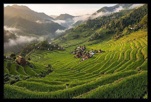 Batad Rice Terraces Serenity
