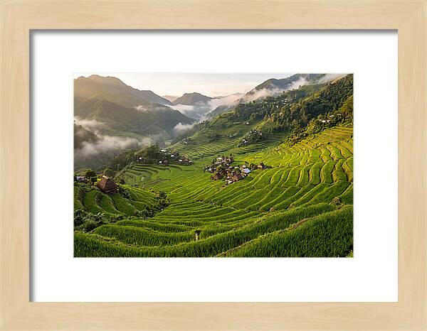 Batad Rice Terraces Serenity