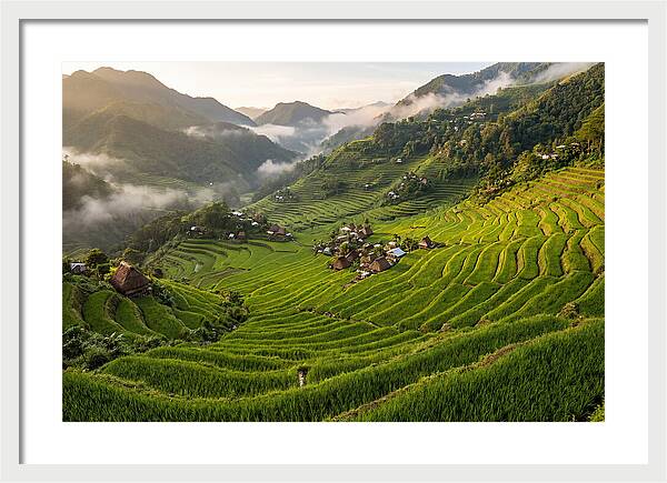 Batad Rice Terraces Serenity