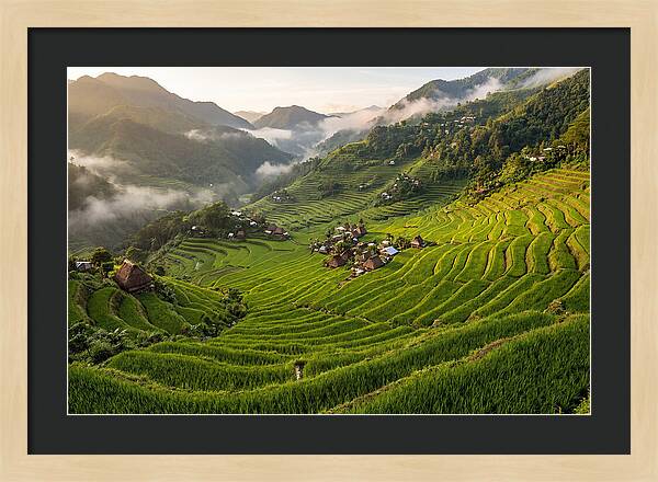 Batad Rice Terraces Serenity