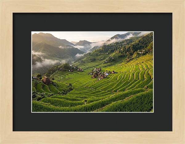 Batad Rice Terraces Serenity
