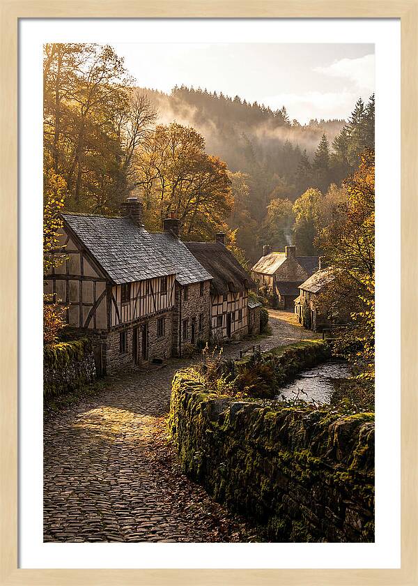 Batsto Village Serenity