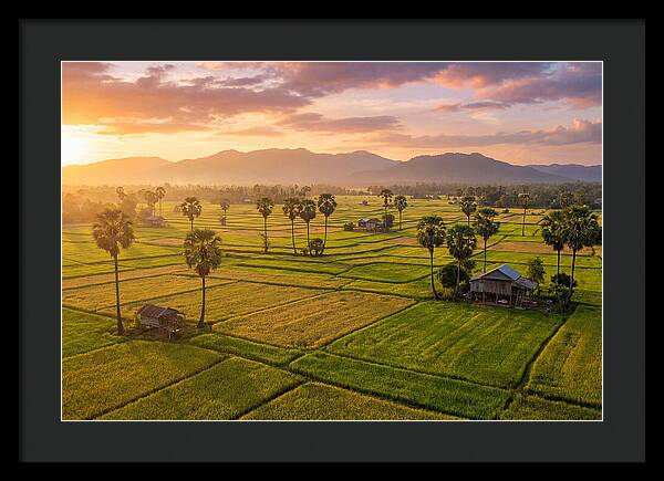 Battambang Countryside At Golden Hour