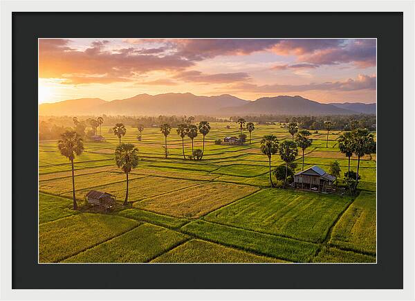 Battambang Countryside At Golden Hour