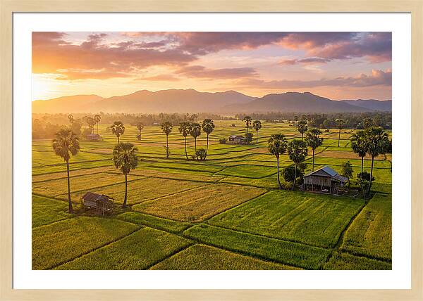 Battambang Countryside At Golden Hour
