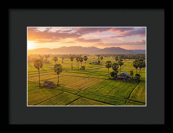 Battambang Countryside At Golden Hour