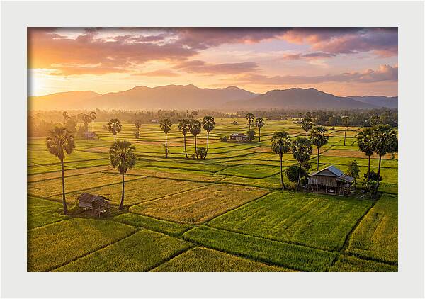 Battambang Countryside At Golden Hour