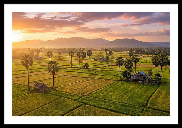 Battambang Countryside At Golden Hour