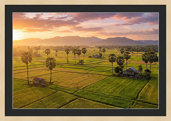 Battambang Countryside At Golden Hour