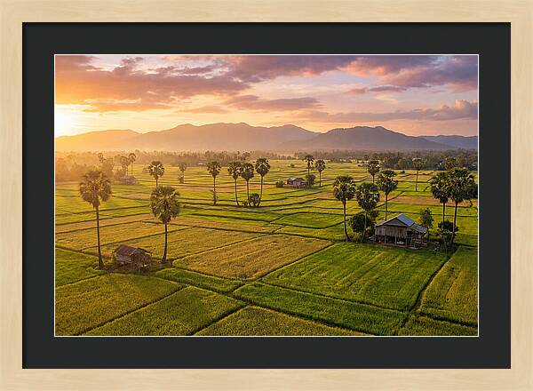 Battambang Countryside At Golden Hour