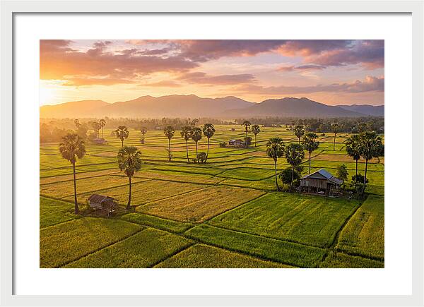 Battambang Countryside At Golden Hour