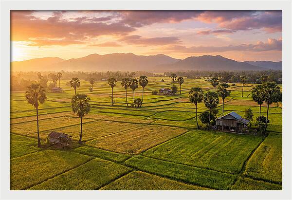 Battambang Countryside At Golden Hour