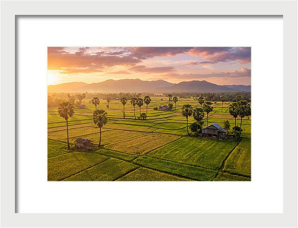 Battambang Countryside At Golden Hour