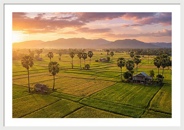 Battambang Countryside At Golden Hour