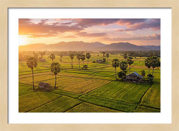 Battambang Countryside At Golden Hour