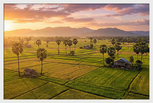Battambang Countryside At Golden Hour