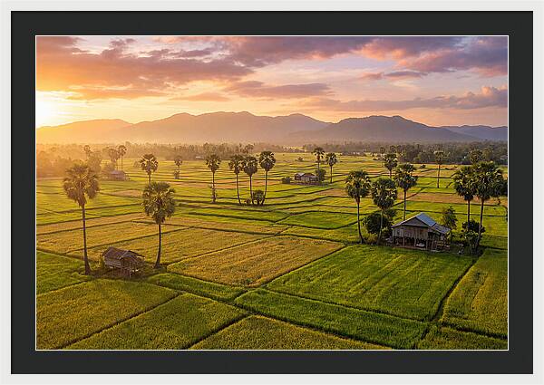Battambang Countryside At Golden Hour
