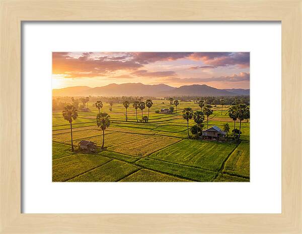 Battambang Countryside At Golden Hour