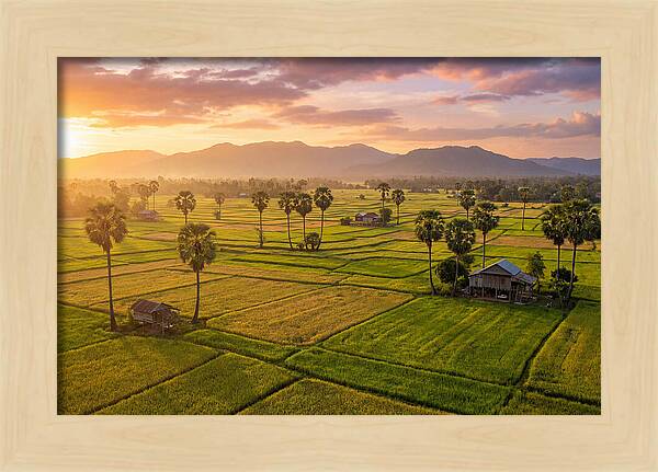 Battambang Countryside At Golden Hour