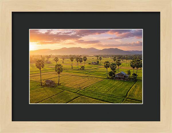 Battambang Countryside At Golden Hour