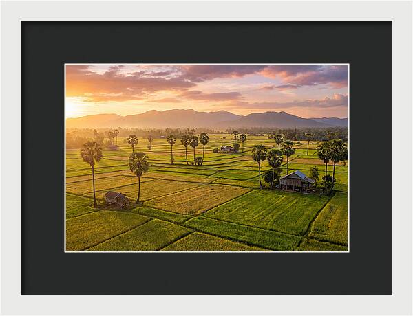 Battambang Countryside At Golden Hour