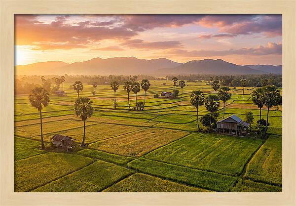 Battambang Countryside At Golden Hour