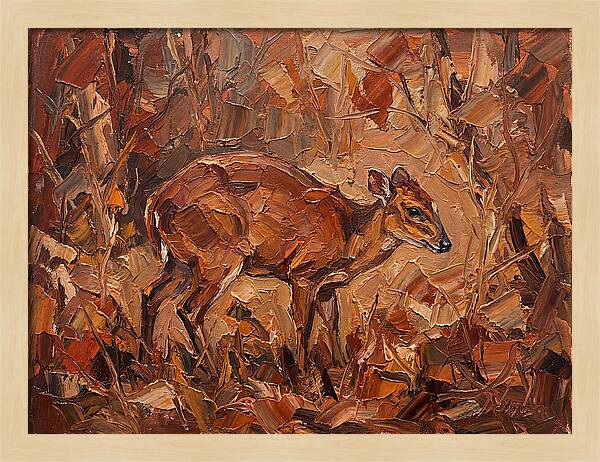 Bay Duiker In Autumn Hues