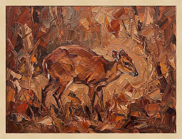 Bay Duiker In Autumn Hues