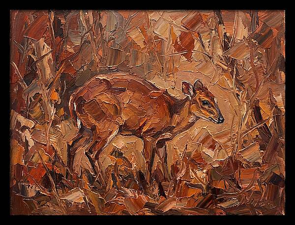 Bay Duiker In Autumn Hues