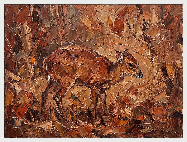 Bay Duiker In Autumn Hues