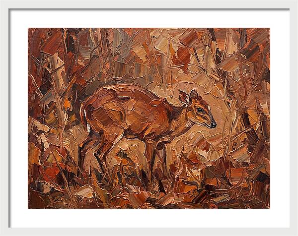 Bay Duiker In Autumn Hues