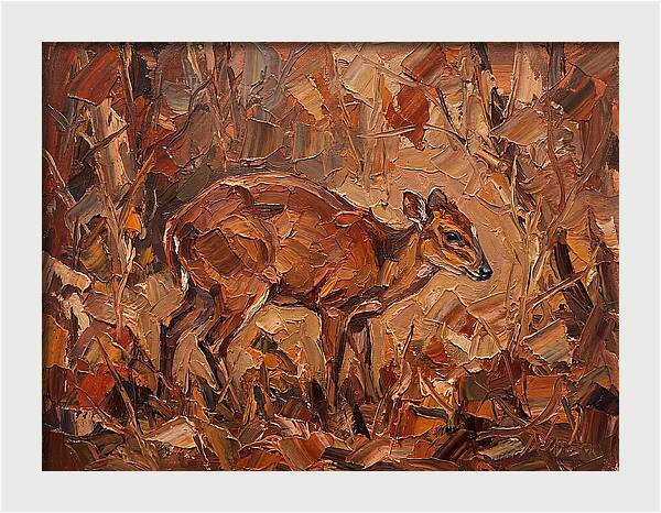 Bay Duiker In Autumn Hues