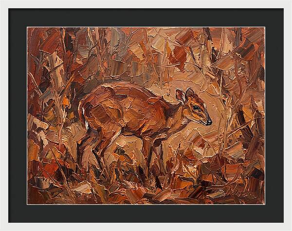Bay Duiker In Autumn Hues